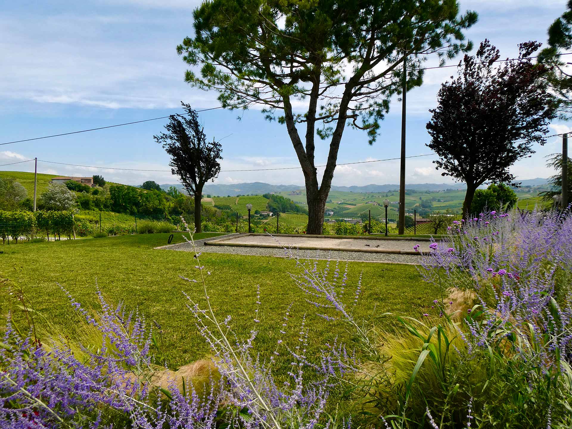 Garden with lavender and rolling vineyard views